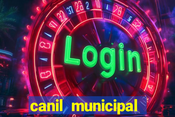 canil municipal porto alegre